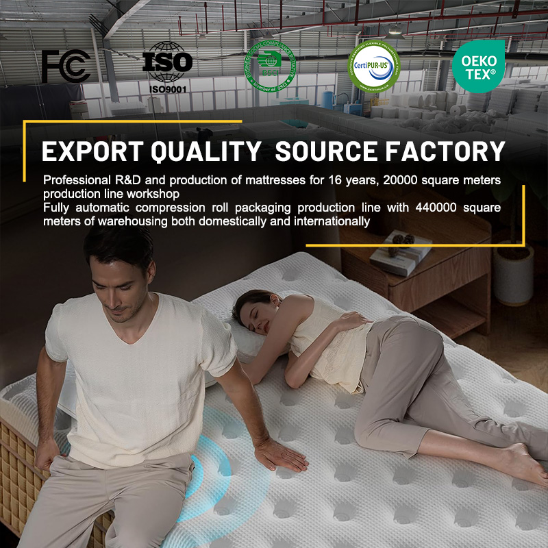 Colchón HOMEMATE de espuma vis - Memory Foam Mattress In A Box Queen reseña y precio